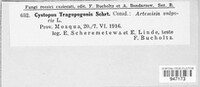 Image Associated With the Occurrence